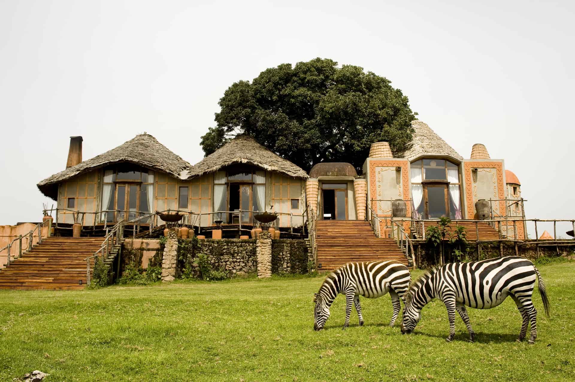 and beyond safari tanzania